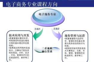 电子商务专业的读研方向